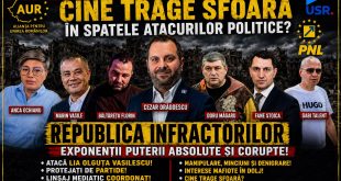 Cine alimentează linșajul mediatic asupra Liei Olguța Vasilescu?