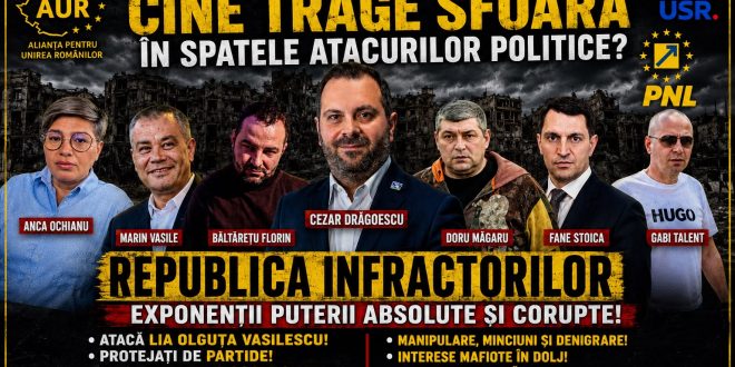 Cine alimentează linșajul mediatic asupra Liei Olguța Vasilescu?